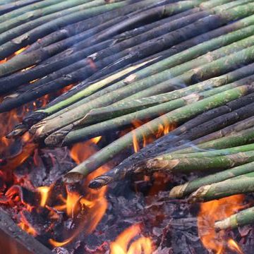 Pucuk Rotan kuliner khas Tapanuli Selatan favorit di bulan Ramadhan