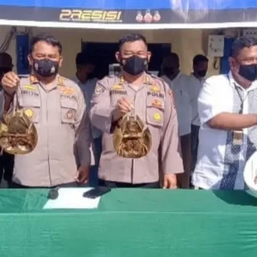 Polairud Polda Sumut Tangkap Nelayan Perdagangkan Belangkas