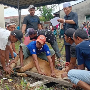 Idul Adha Meningkatkan Kepedulian Sosial Terhadap Sesama